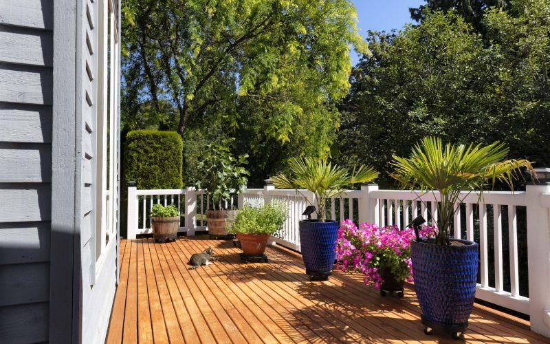 Outdoor deck with plants
